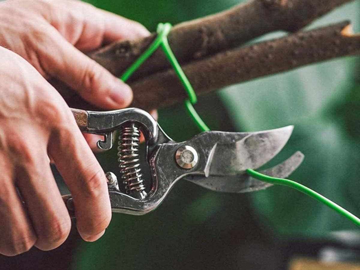 Alambre de Hierro Galvanizado Rollo 2.5 mm 5 Metros Verde - imagen 5
