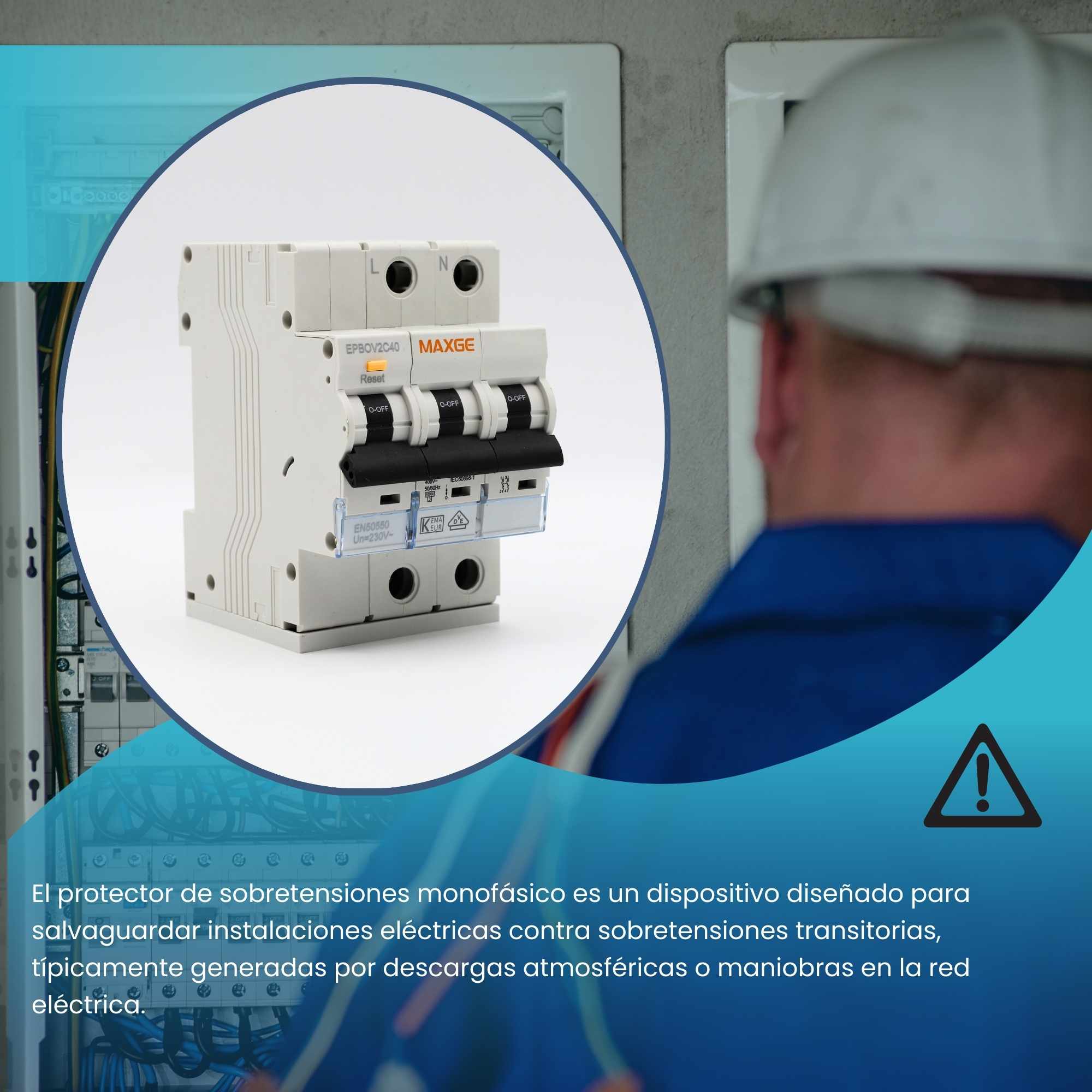 Protector sobretensiones monofasico 2P Clase C 6kA Blanco 40 A - imagen 2