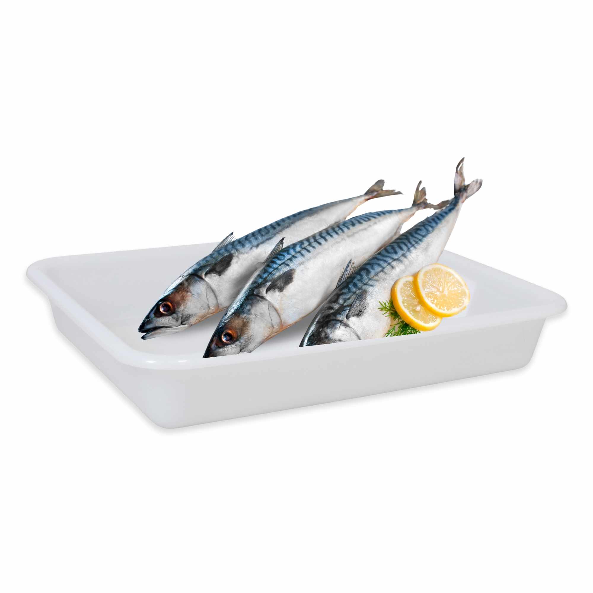 Bandeja plastico hostelería apto para frigorífico nevera 35 x 27.5 x 6 cm blanca - imagen 1