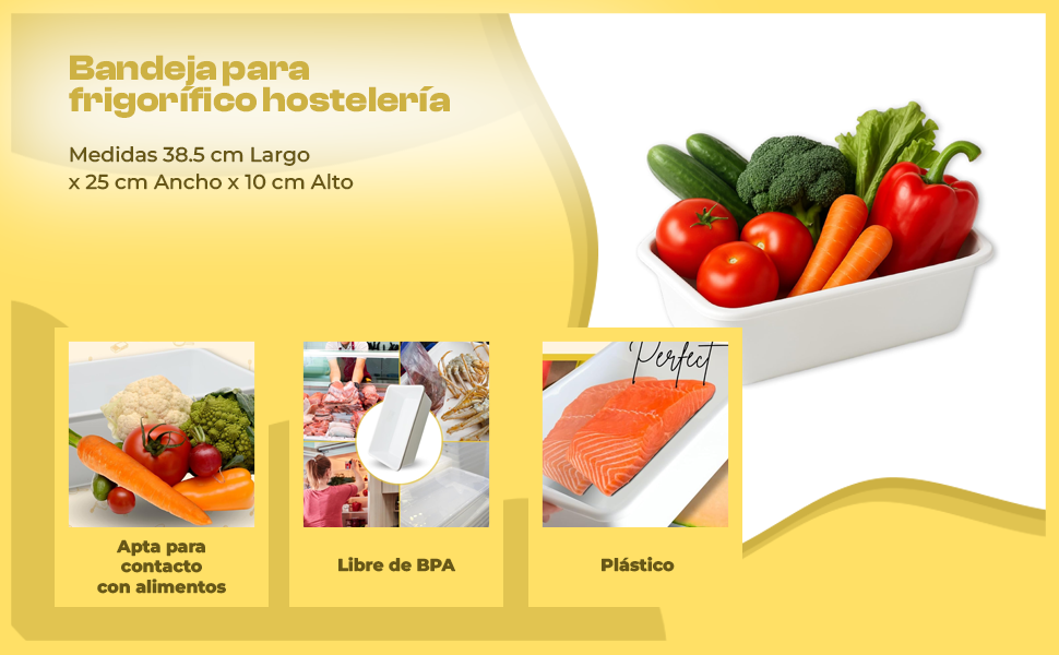 Banner - Bandeja plastico hostelería apto para frigorífico nevera 38.5 x 25 x 10 cm blanca
