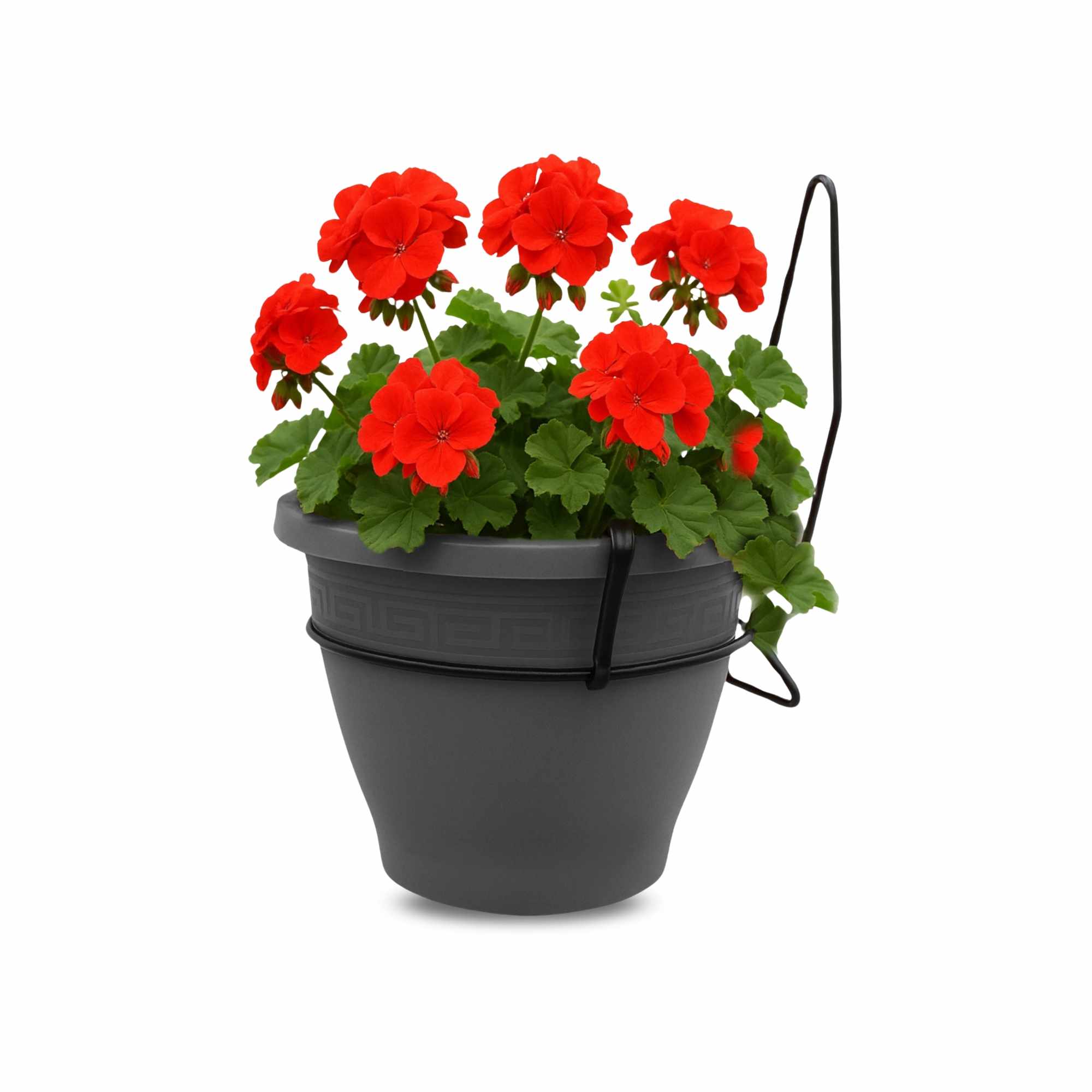Maceta 18 Cm  Antracita Con Soporte de Pared