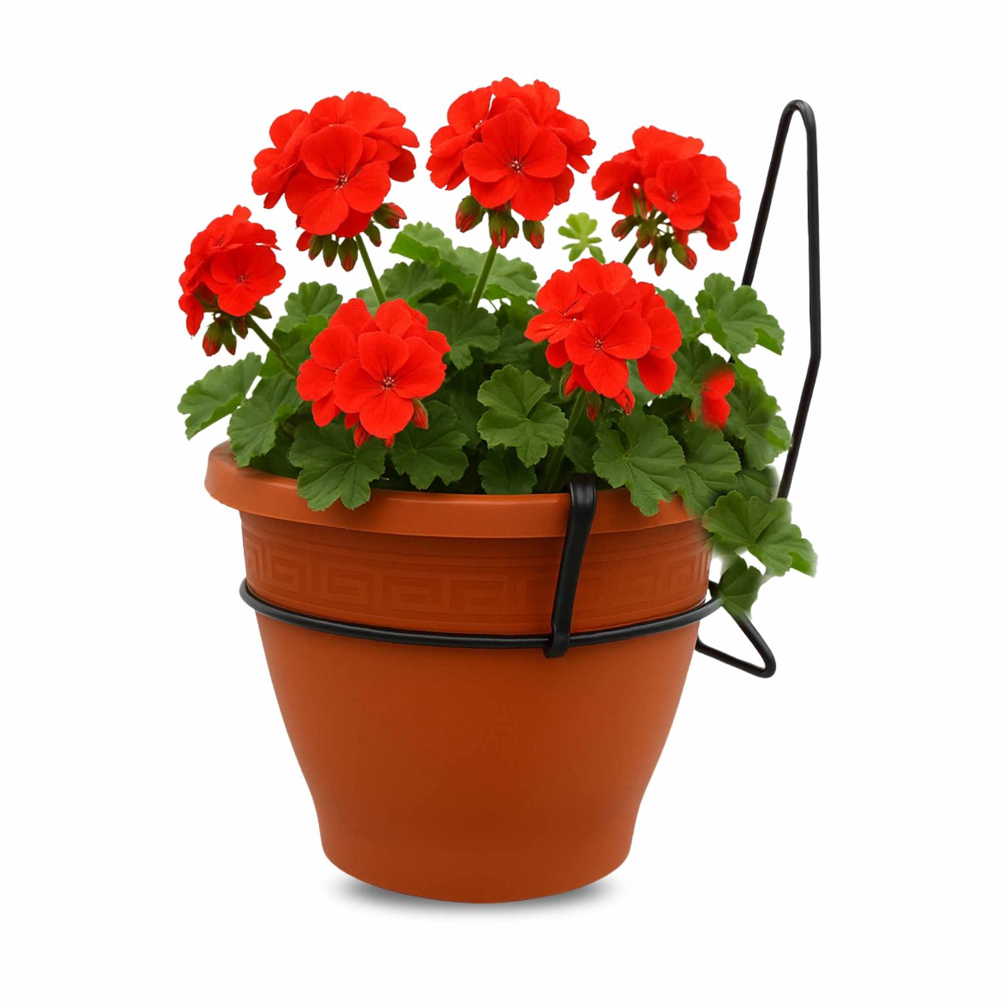 Maceta 20 Cm Marrón Con Soporte de Pared
