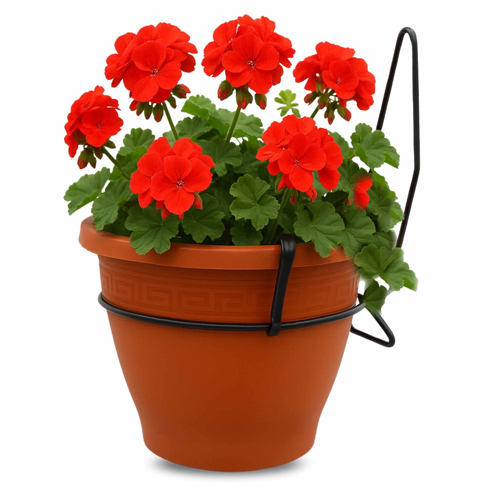 Maceta 25 Cm Terracota Con Soporte de Pared - imagen 1