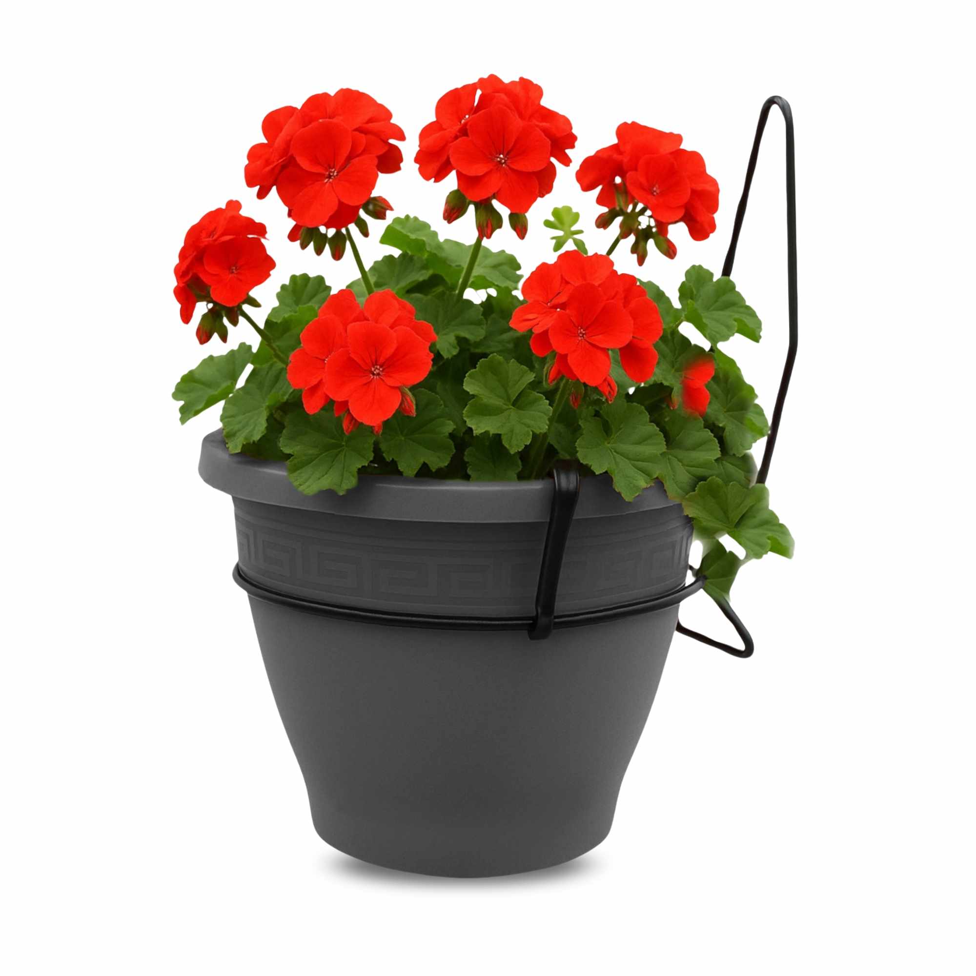 Maceta 20 Cm Antracita Con Soporte de Pared