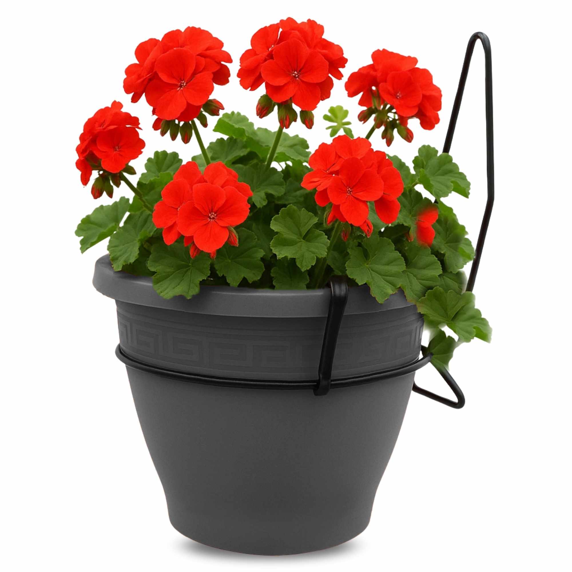 Maceta 25 Cm Antracita Con Soporte de Pared - imagen 1