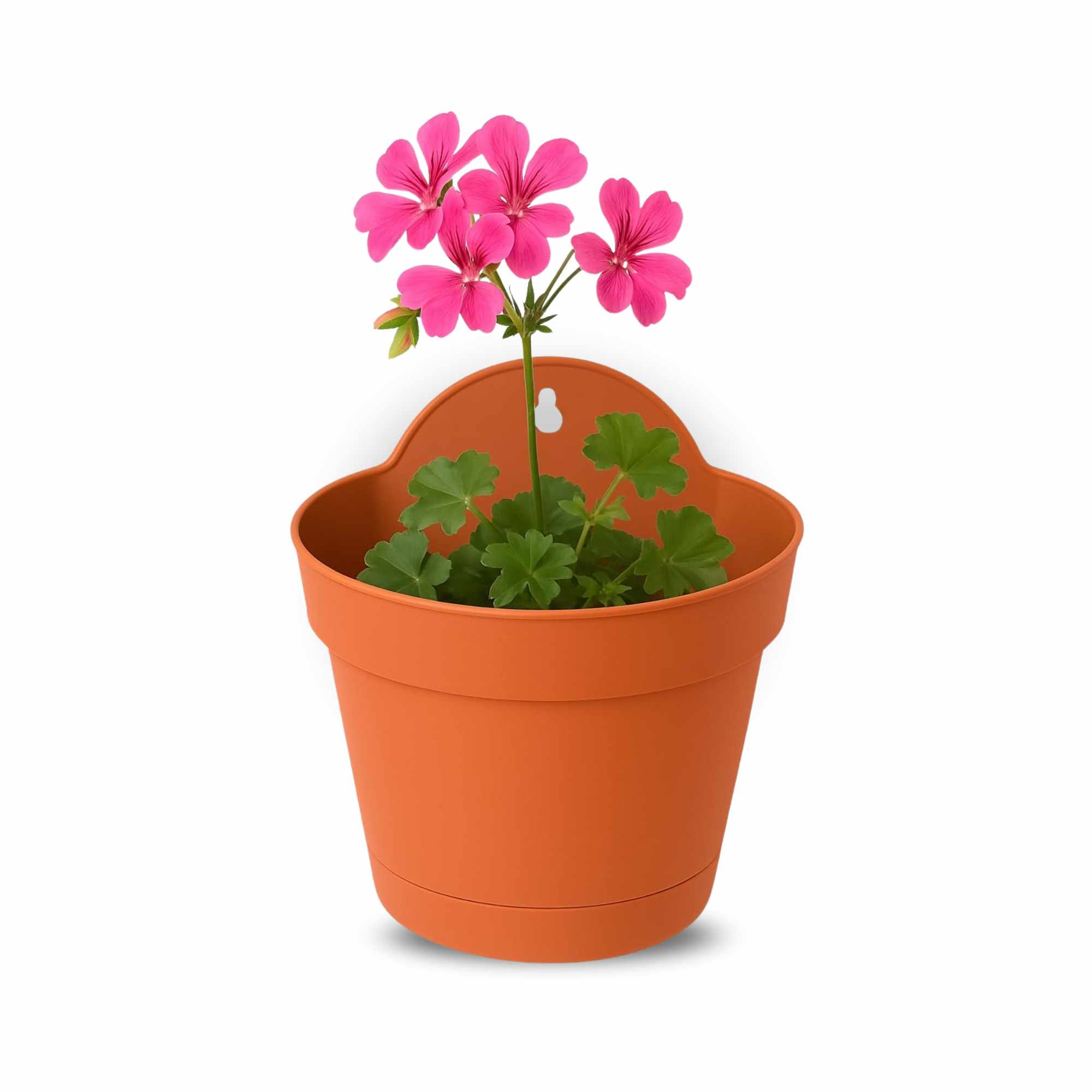 Maceta 15 Cm Marrón Con Plato apto para Pared