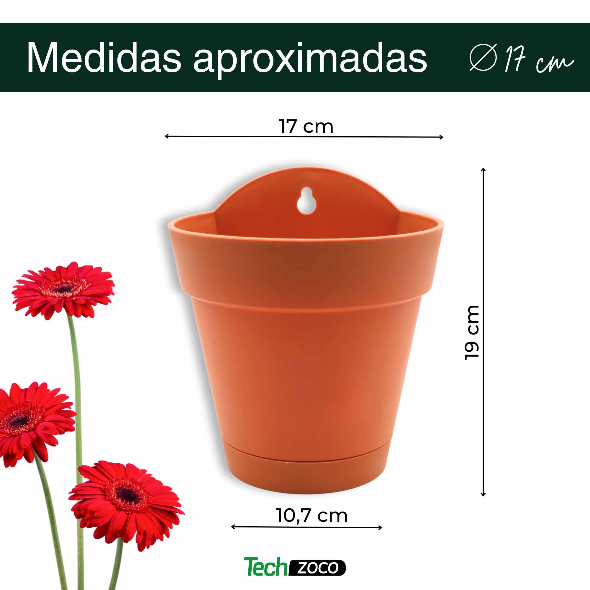 Maceta 17 Cm Terracota Con Plato apto para Pared - imagen 5
