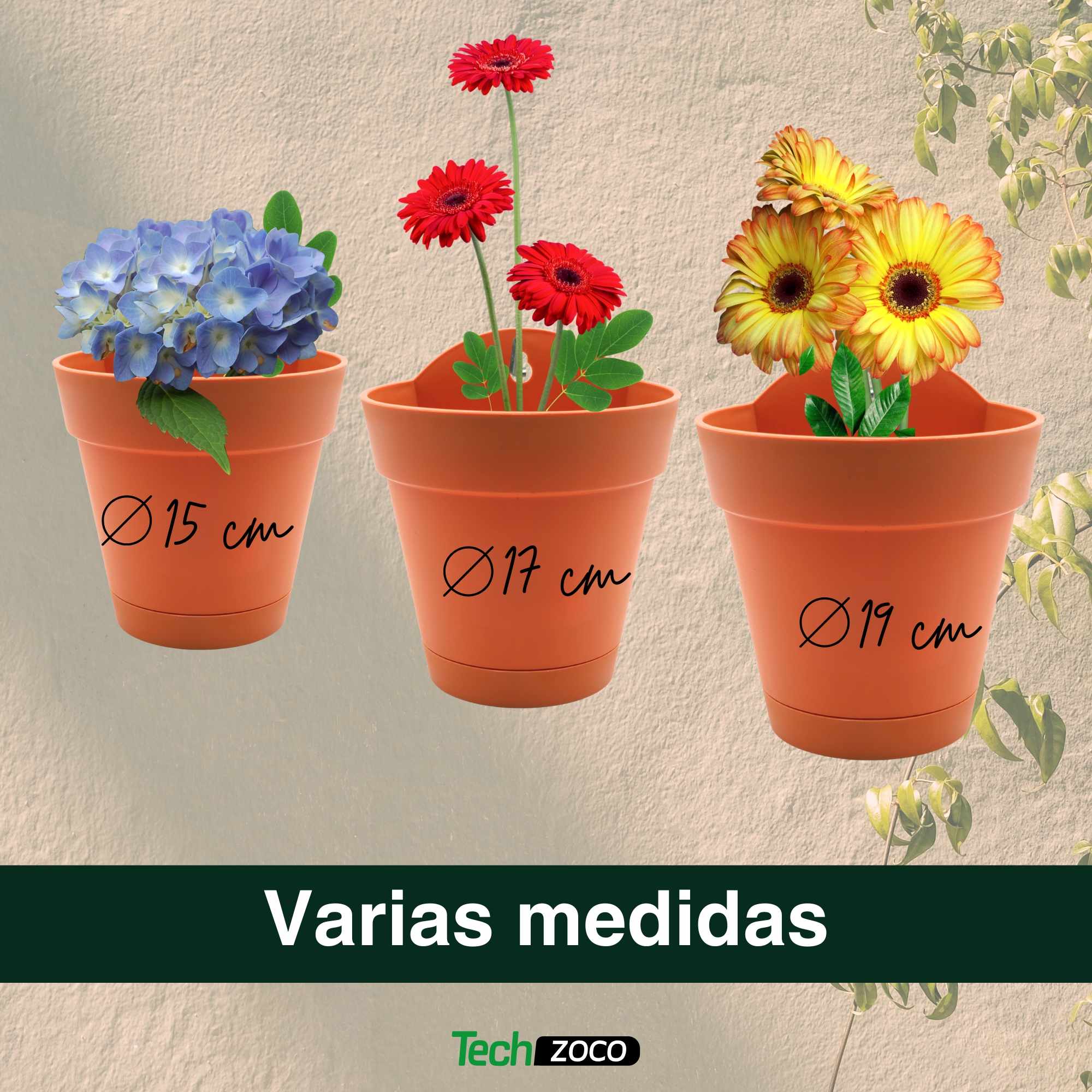 Maceta 17 Cm Terracota Con Plato apto para Pared - imagen 6