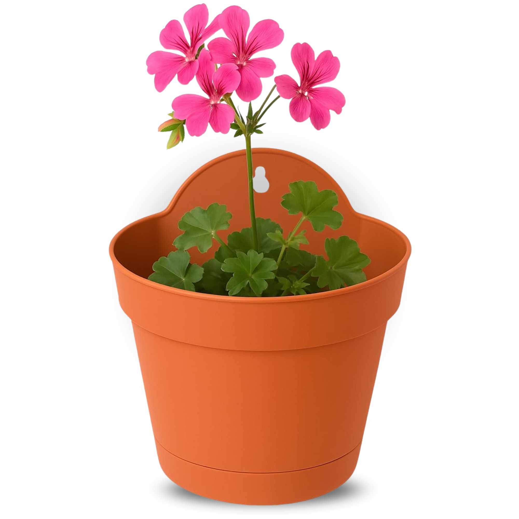 Maceta 19 Cm Terracota Con Plato apto para Pared