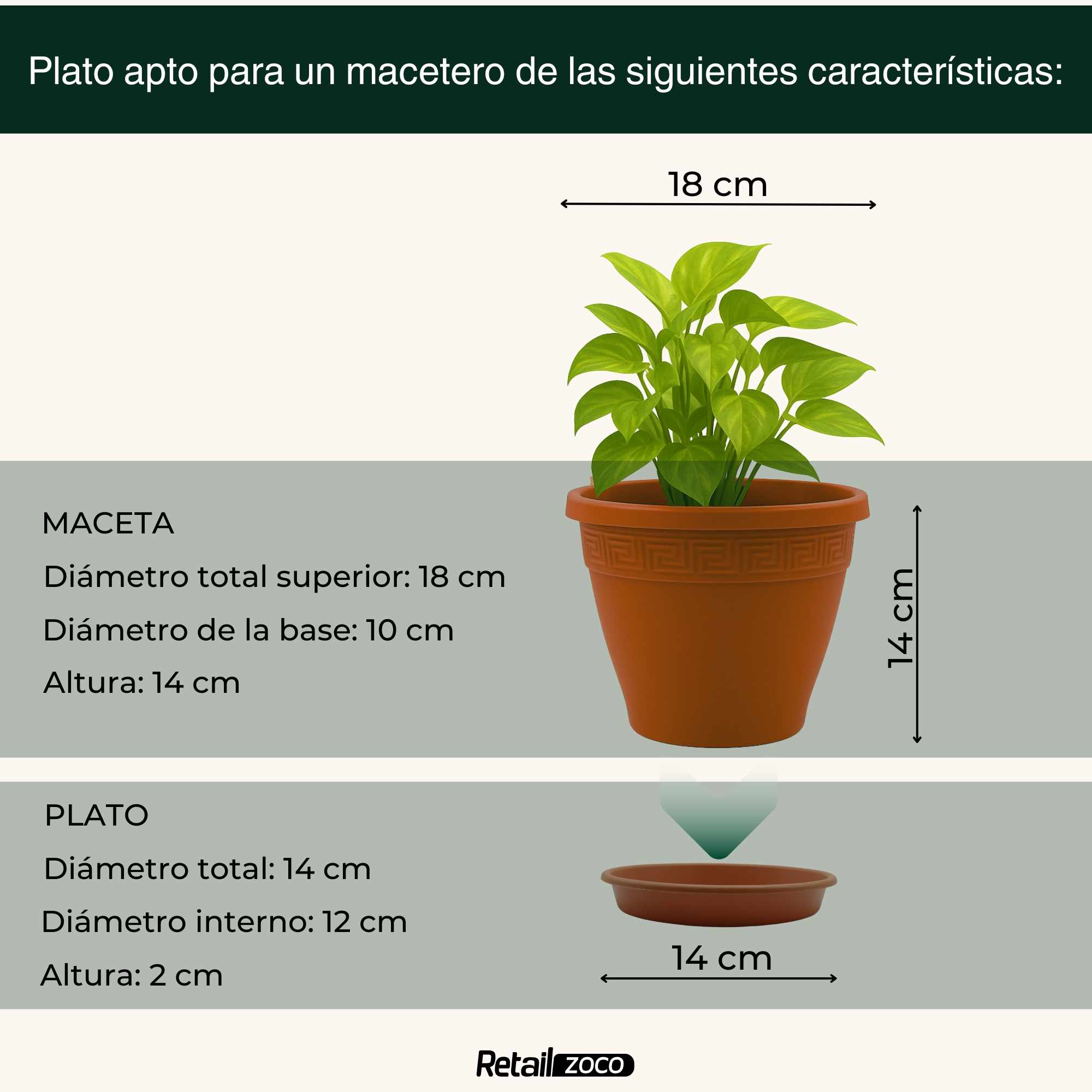 Plato de maceta Terracota apto para maceta de 18 cm - imagen 3