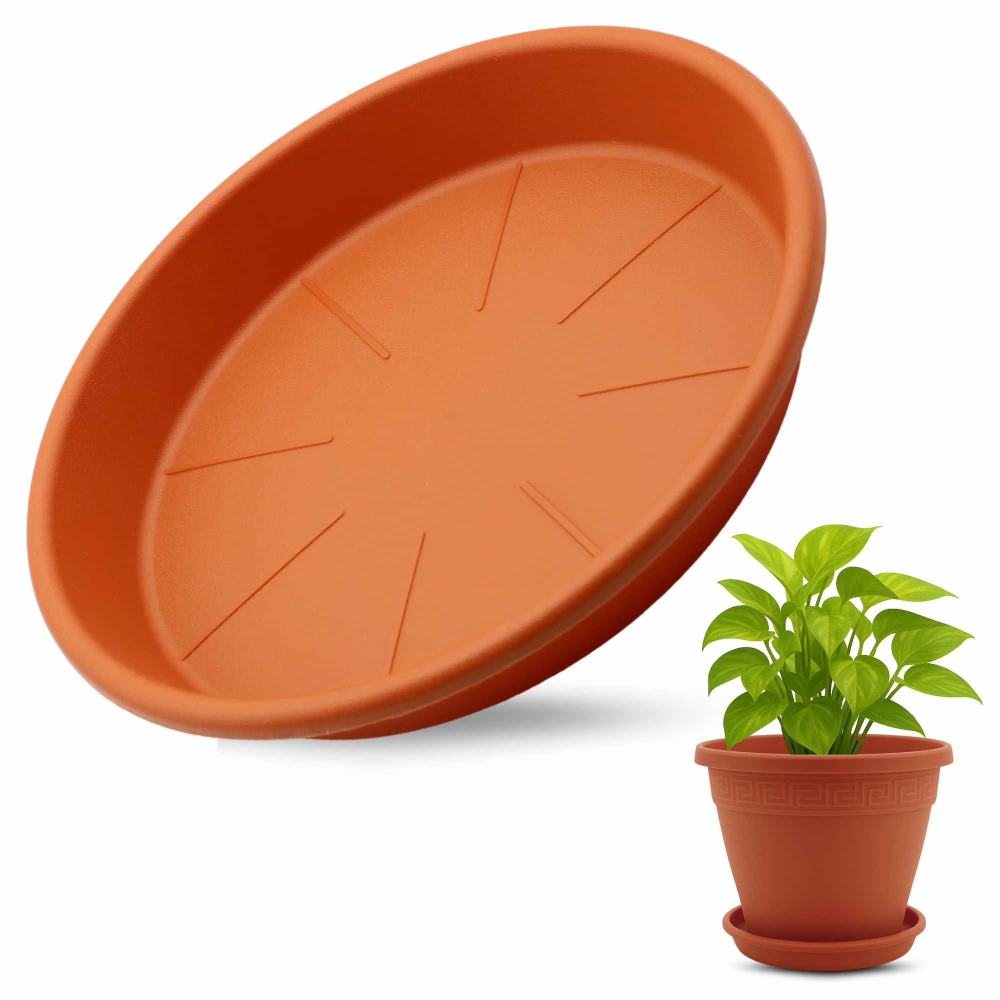 Plato de maceta Terracota apto para maceta de 22 cm