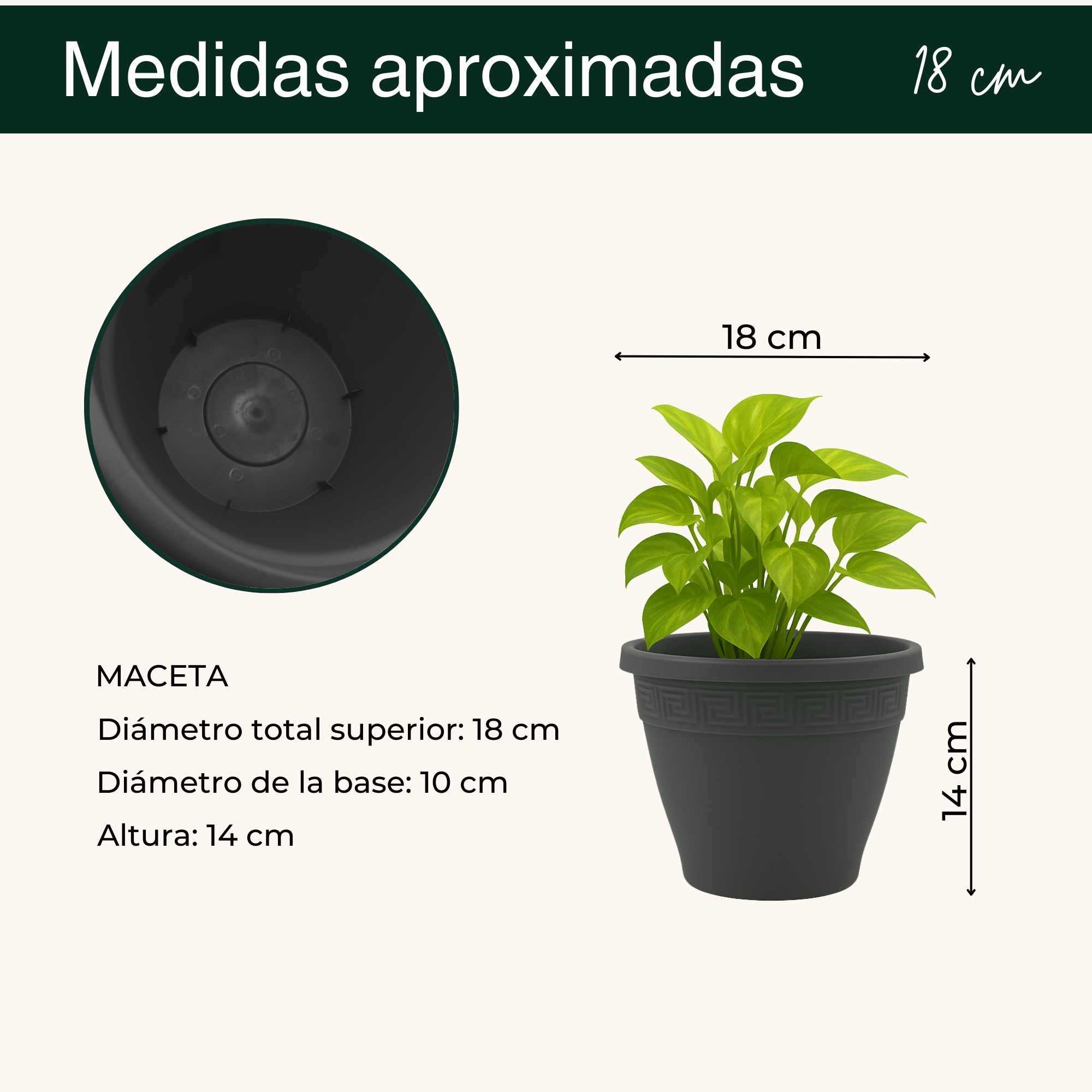 Macetero redondo de plastico 18 cm Antracita - imagen 4