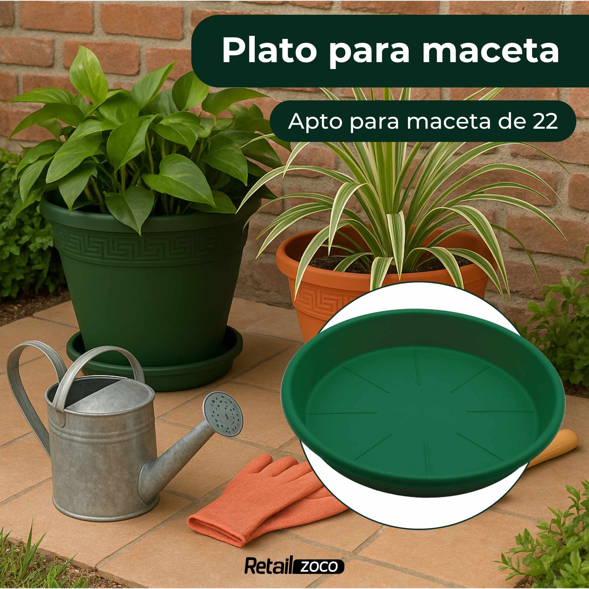 Plato de maceta Verde apto para maceta de 22 cm - imagen 2