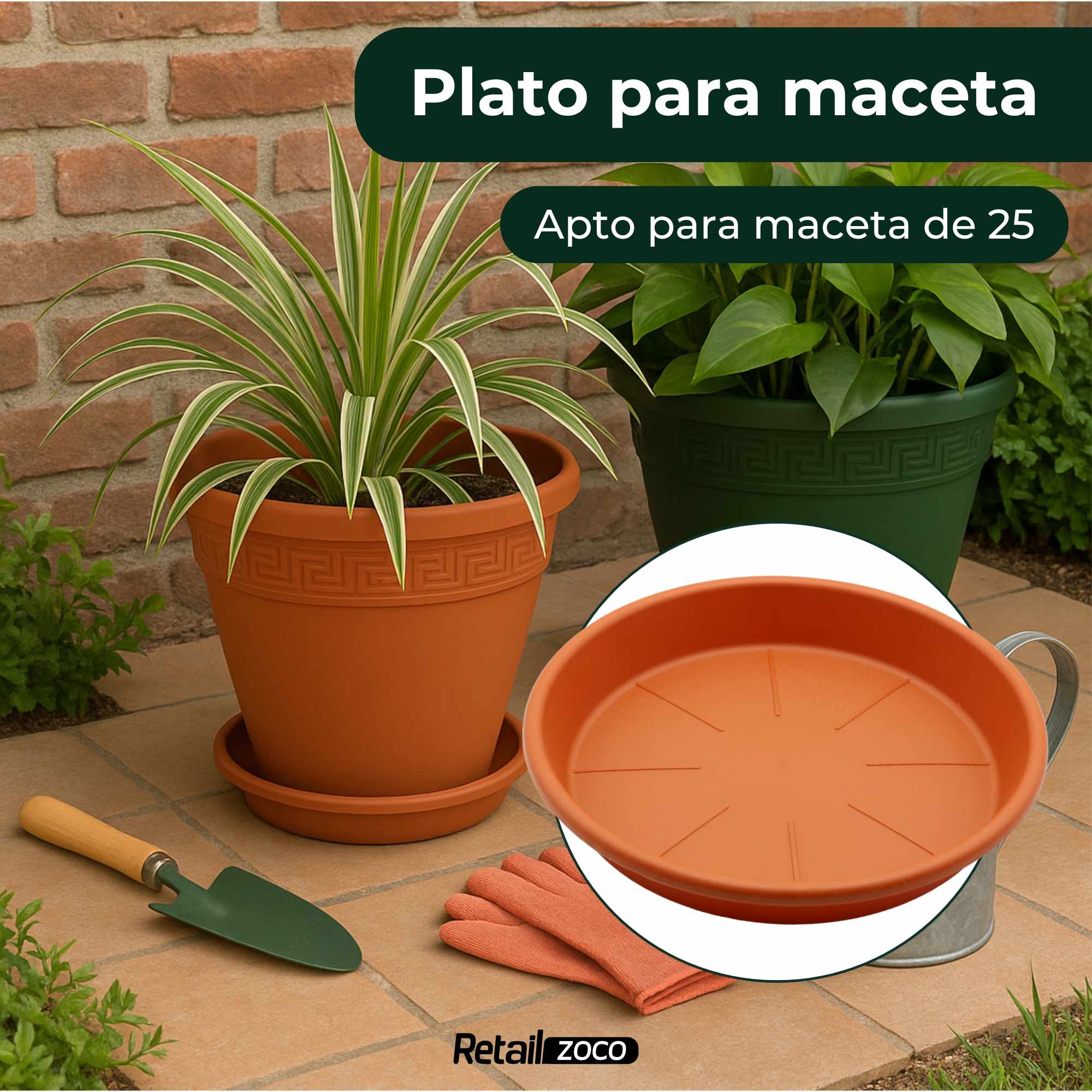 Plato de maceta Terracota apto para maceta de 25 cm - imagen 2