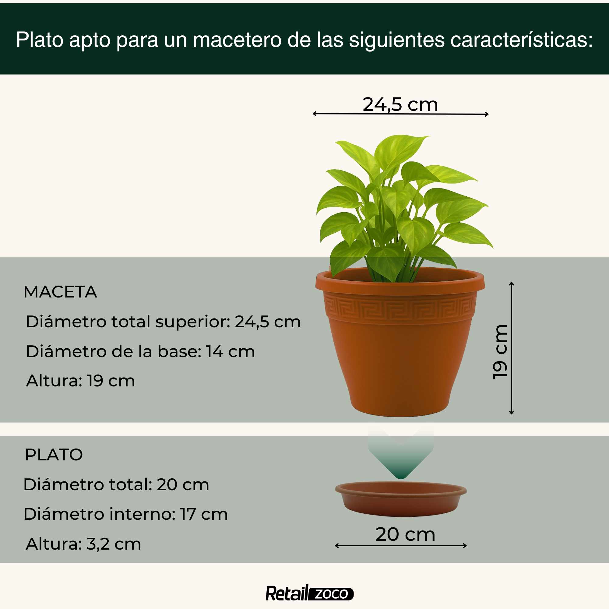 Plato de maceta Terracota apto para maceta de 25 cm - imagen 3