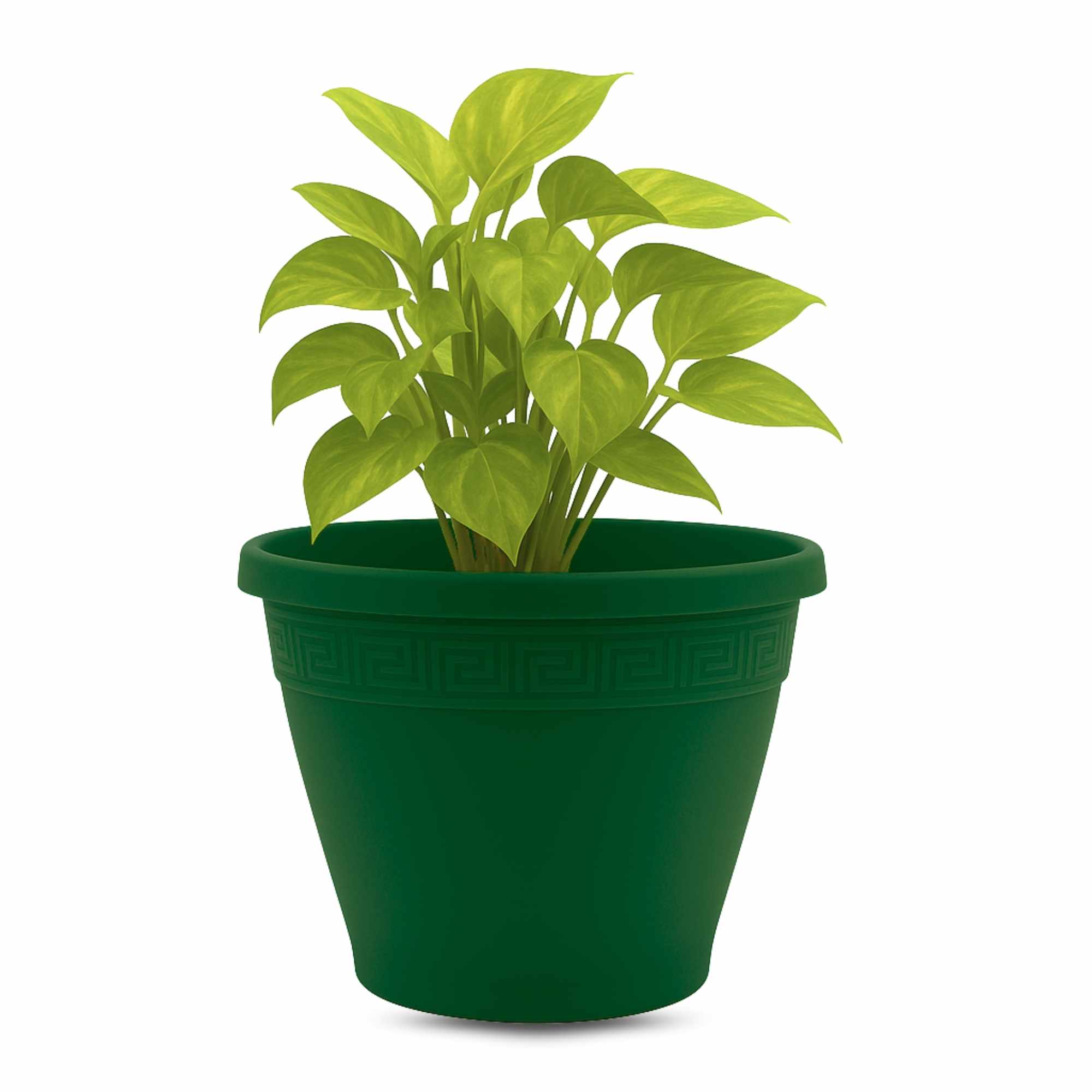 Macetero redondo de plastico 18 cm Verde