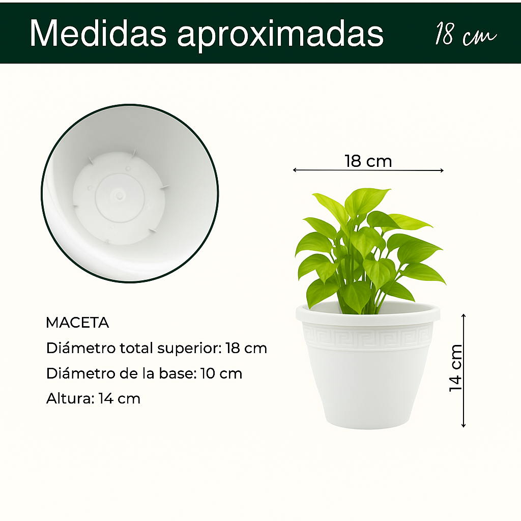 Macetero redondo de plastico 18 cm Blanco - imagen 6