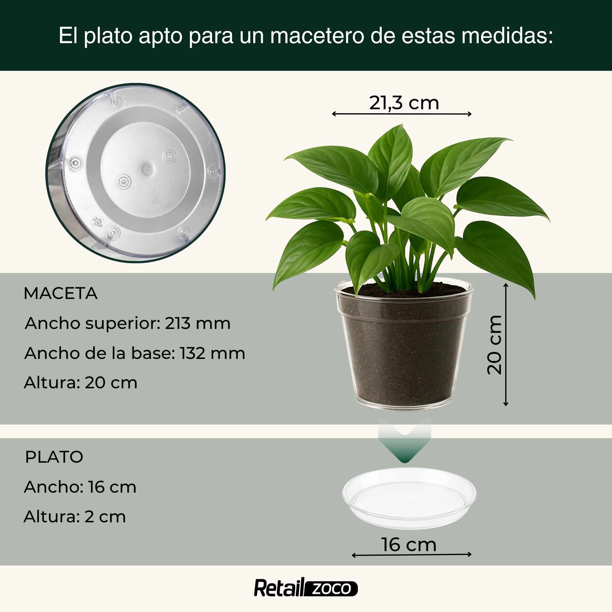 Maceta de plástico Transparente 20 cm - imagen 5