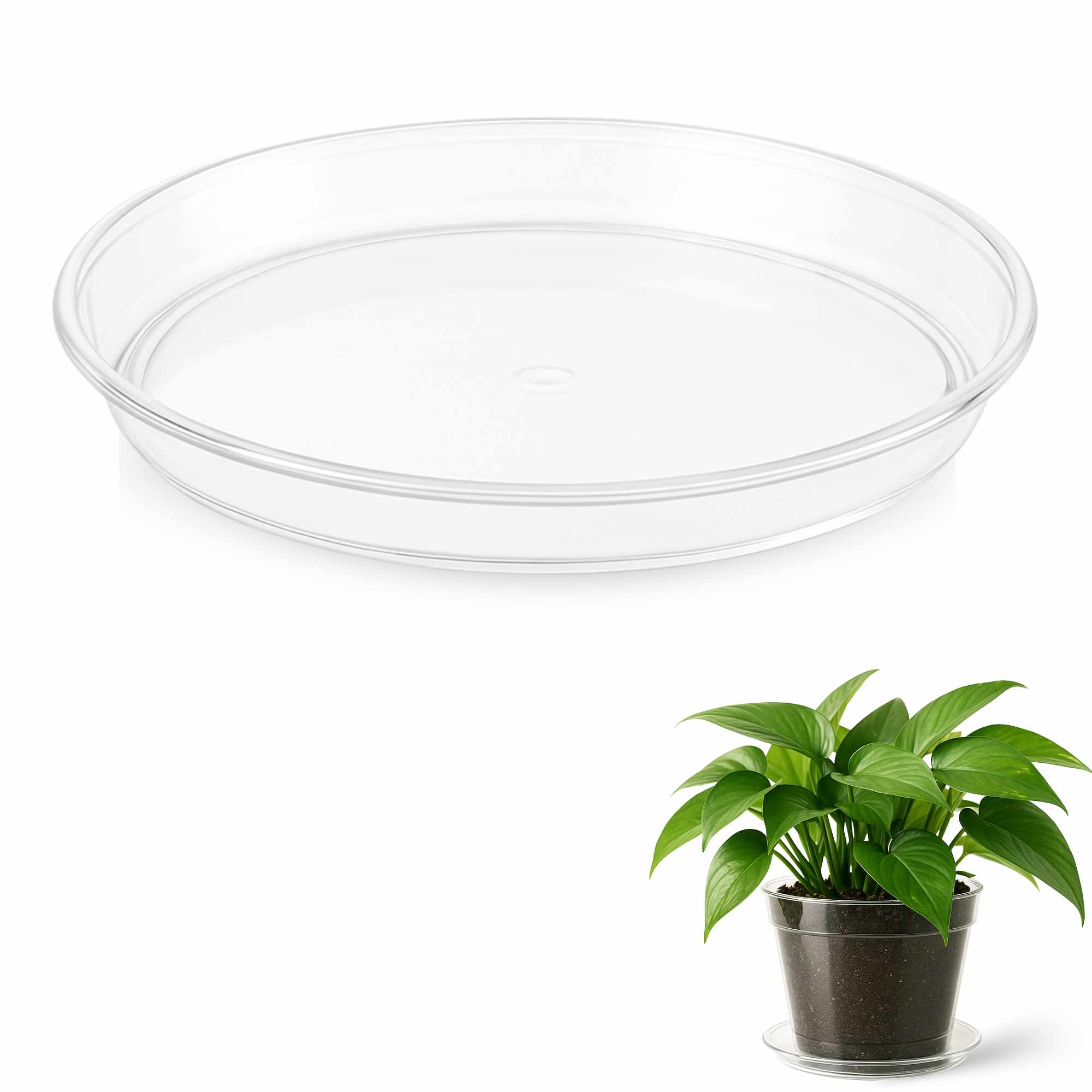 Plato de maceta Transparente apto para maceta de 20 cm