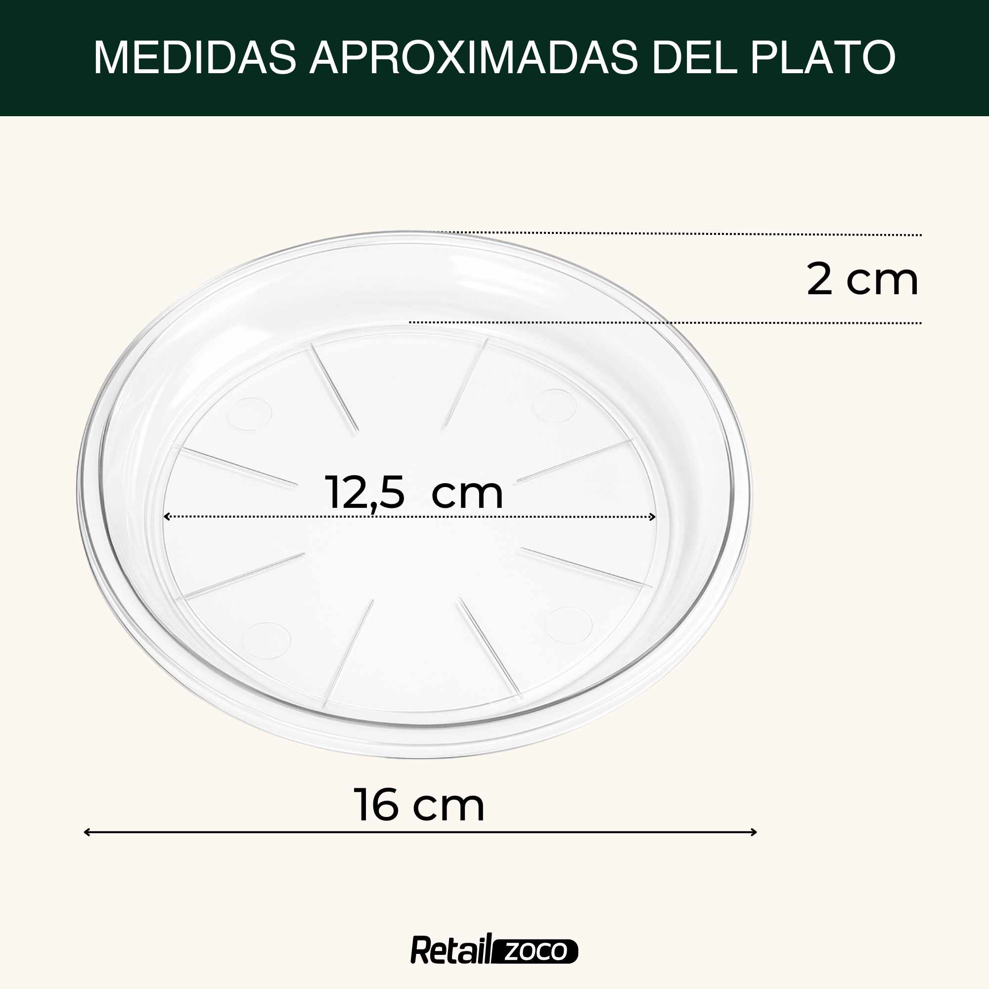 Plato de maceta Transparente apto para maceta de 20 cm - imagen 3