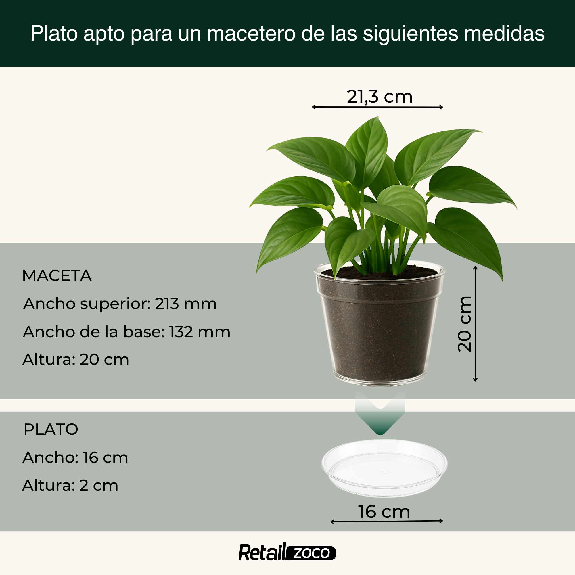 Plato de maceta Transparente apto para maceta de 20 cm - imagen 5