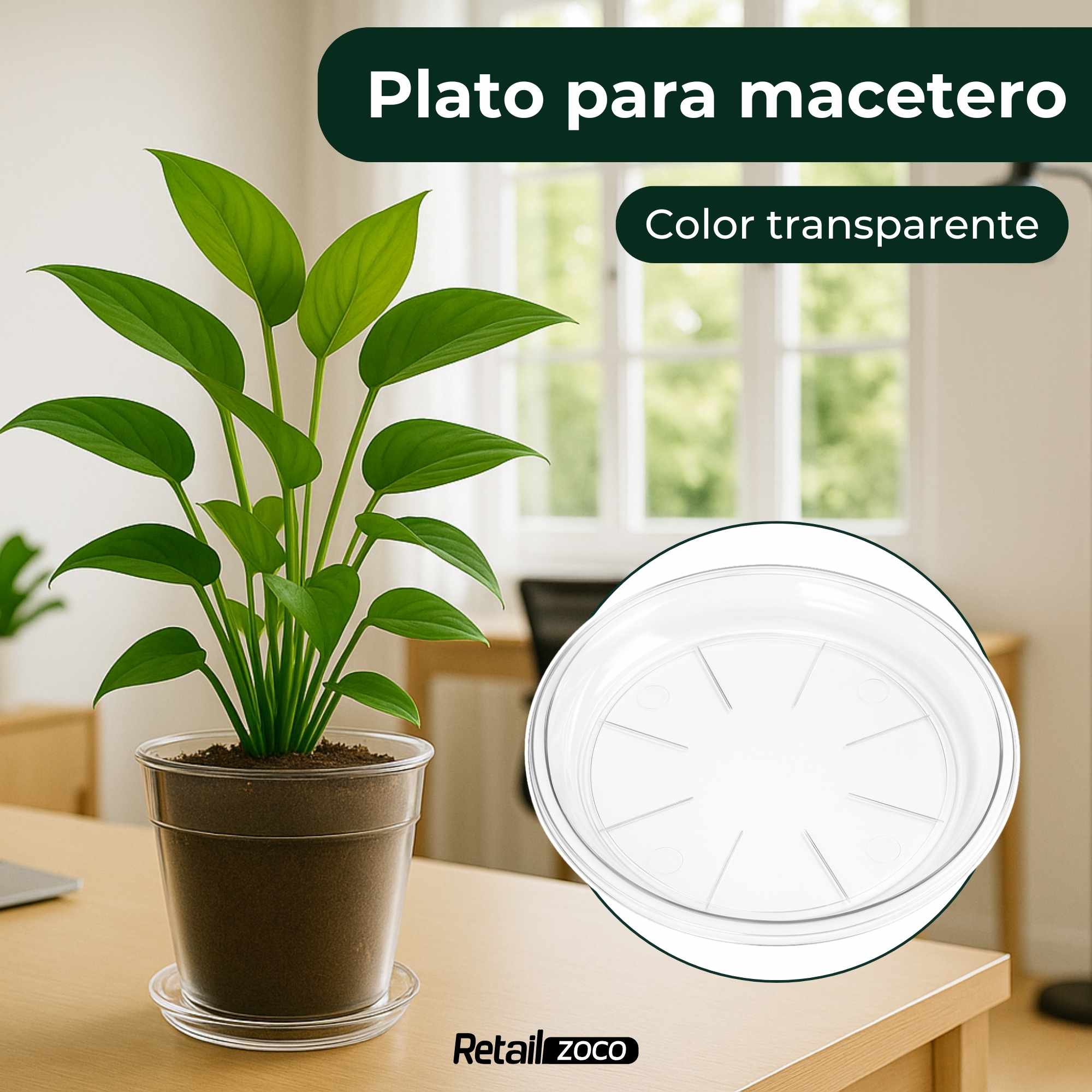 Plato de maceta Transparente apto para maceta de 16 cm - imagen 2