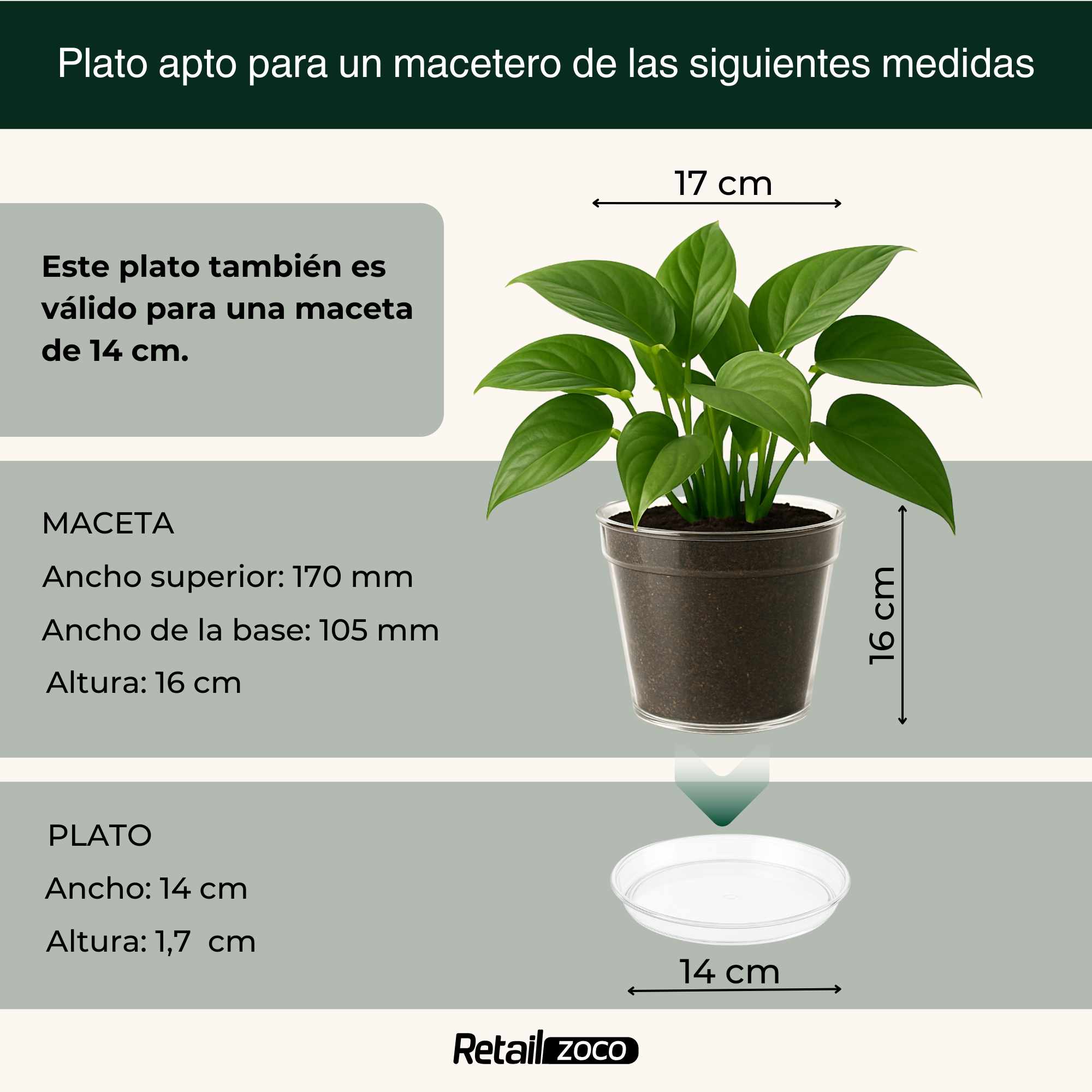 Plato de maceta Transparente apto para maceta de 16 cm - imagen 5