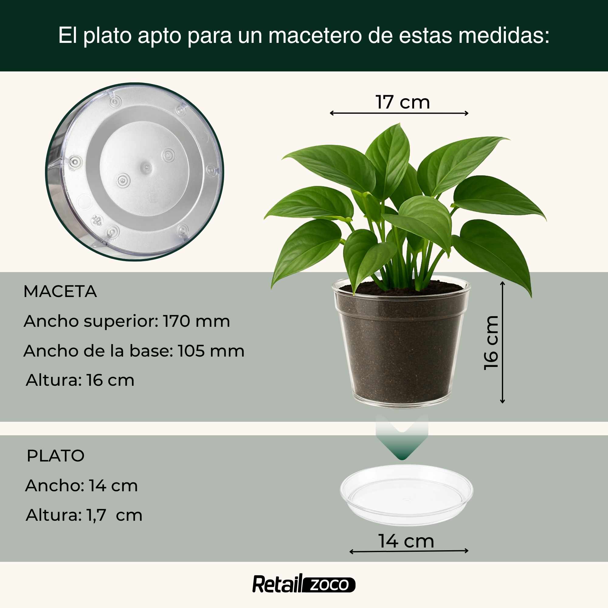 Maceta de plástico Transparente 14 cm - imagen 5