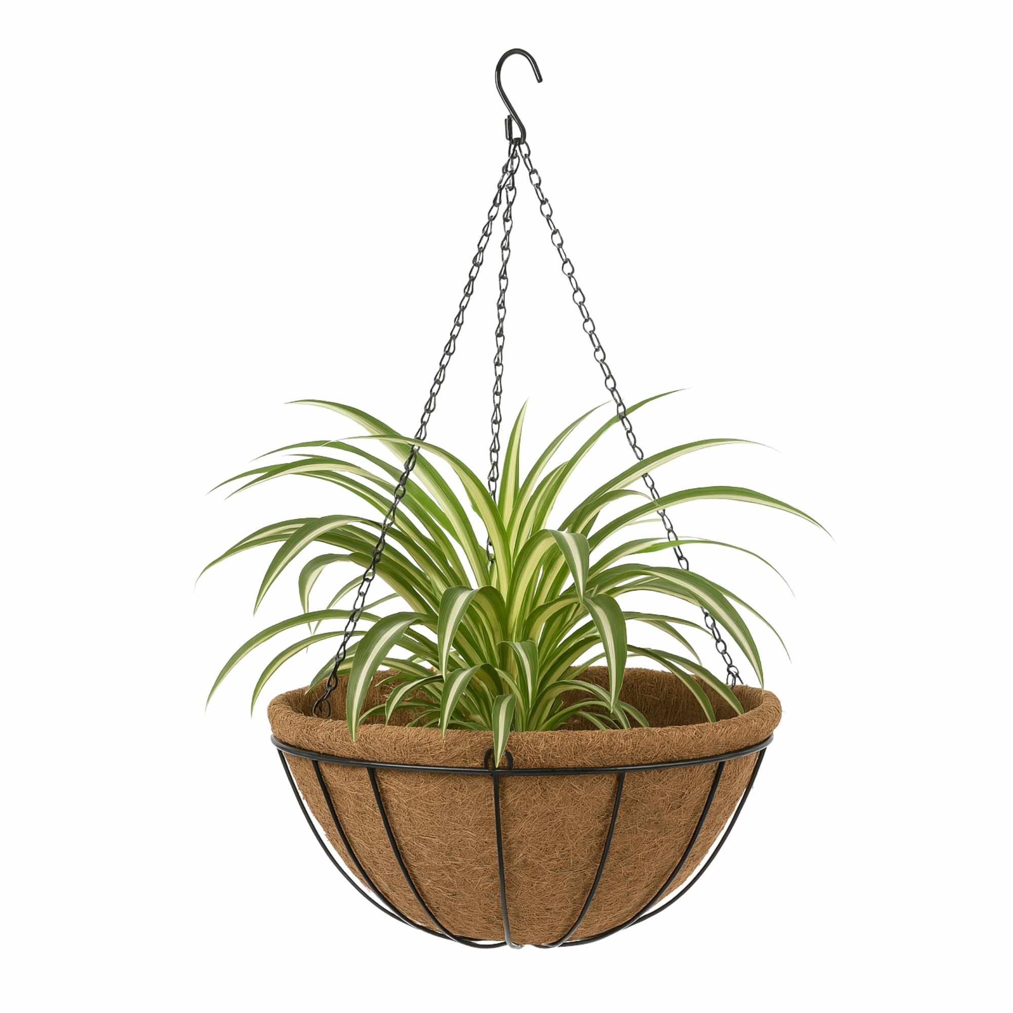 Macetero de coco colgante diámetro 35 cm - imagen 1