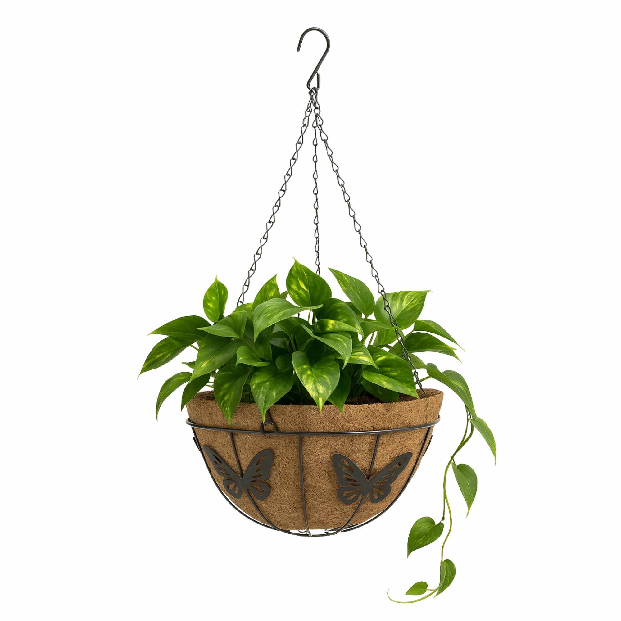 Macetero de coco colgante diámetro 35 cm mariposas - imagen 1