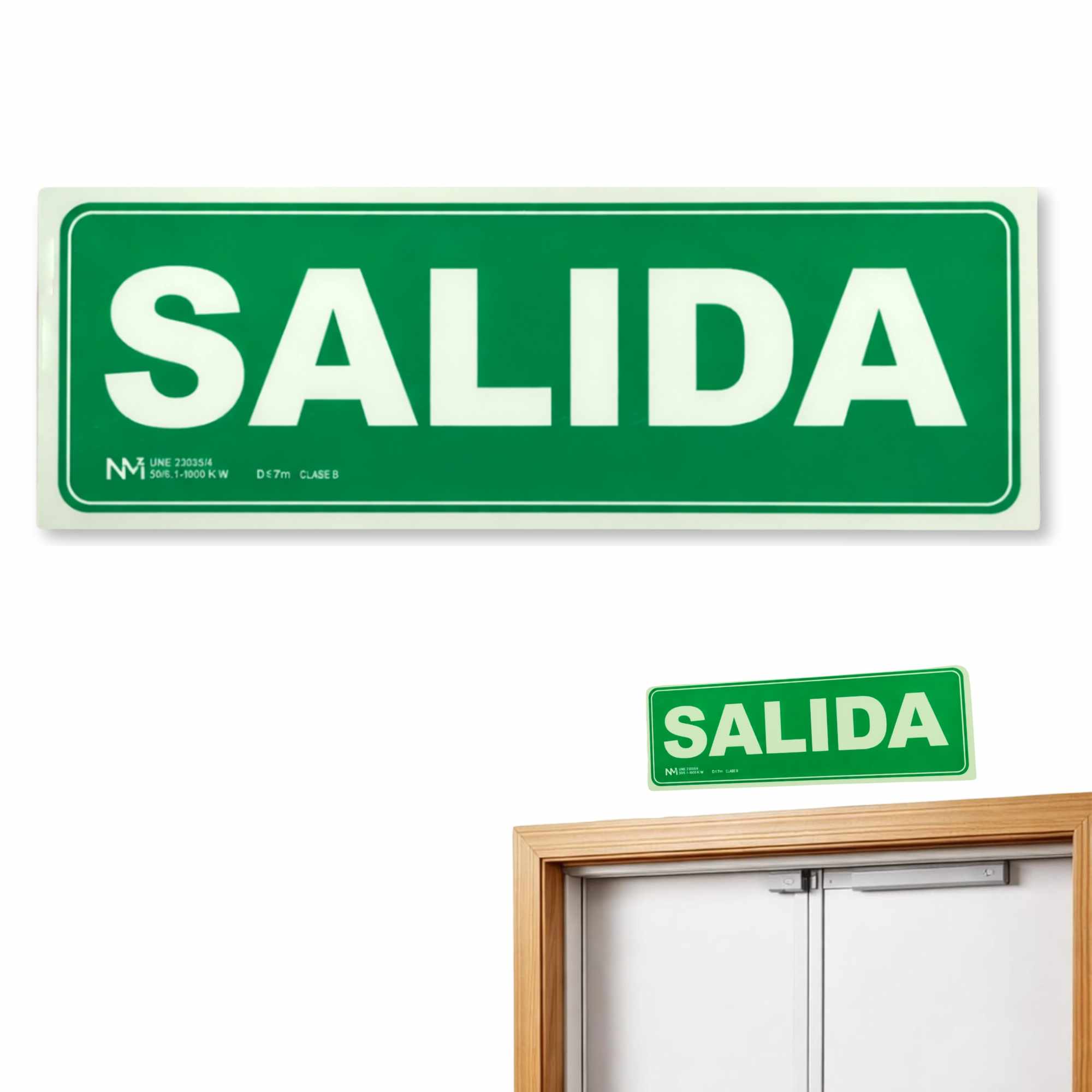 Señal Salida Luminiscente Clase B PVC 30 x 10,5cm