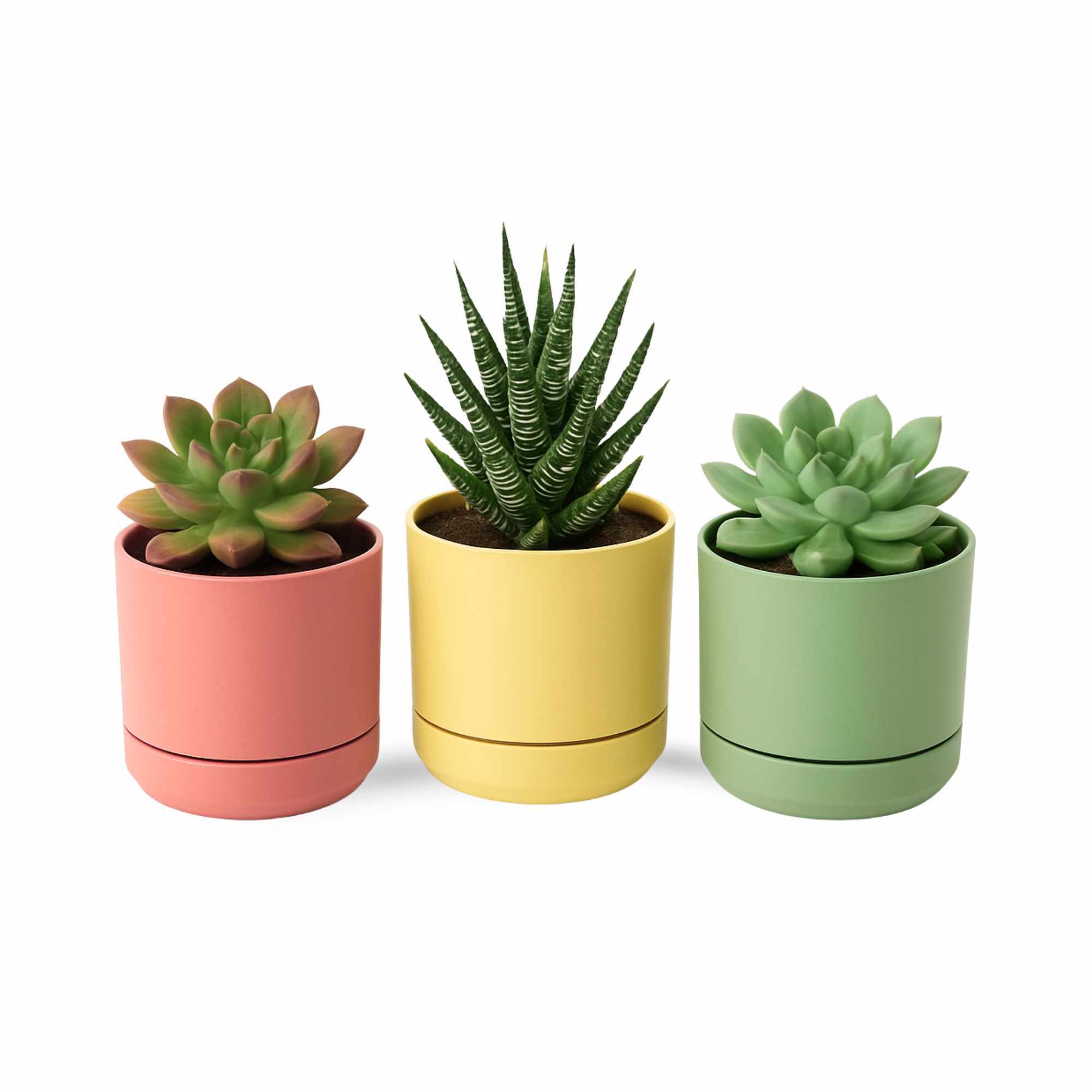 Mini Maceta con plato 16 cm pack 3 unidades colores pasteles - imagen 1