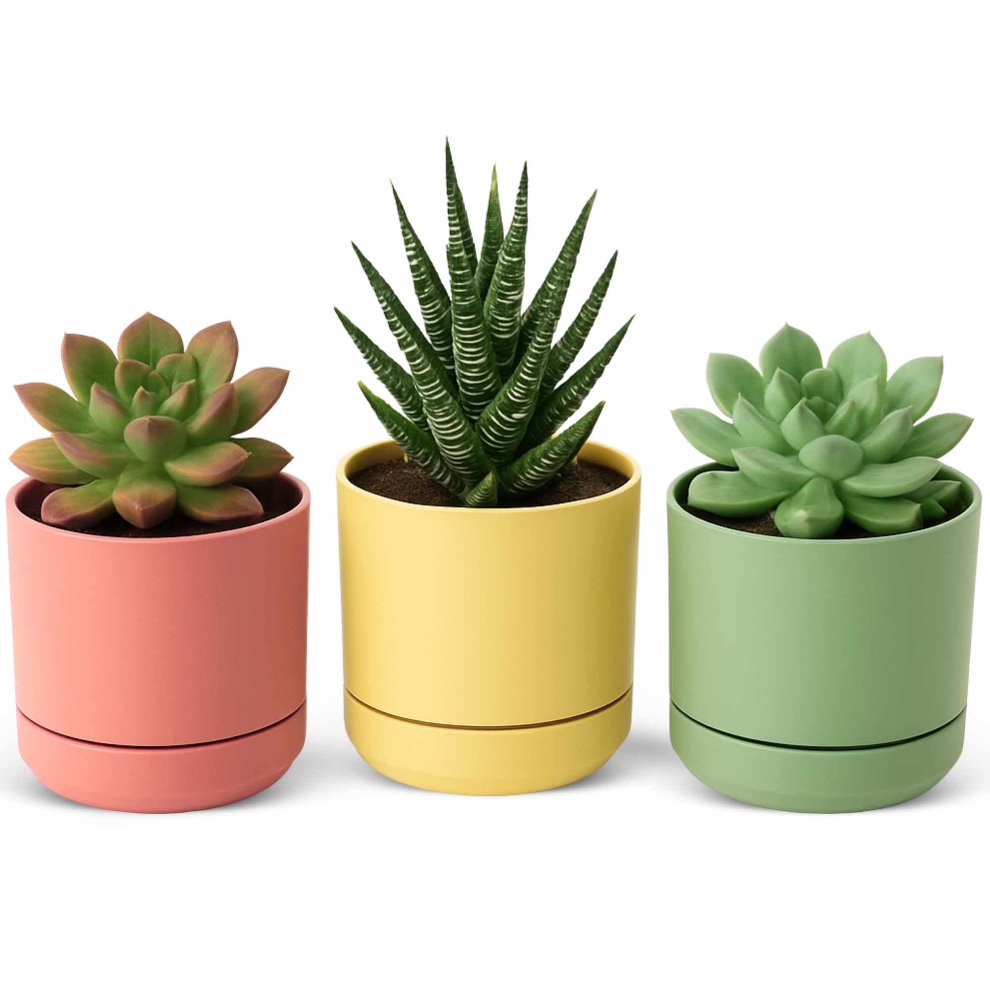 Mini Maceta con plato 18 cm pack 3 unidades colores pasteles - imagen 1