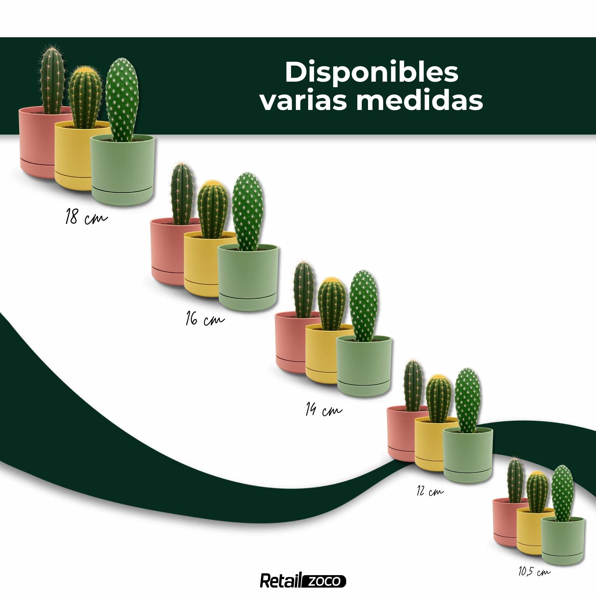 Mini Maceta con plato 18 cm pack 3 unidades colores pasteles - imagen 6