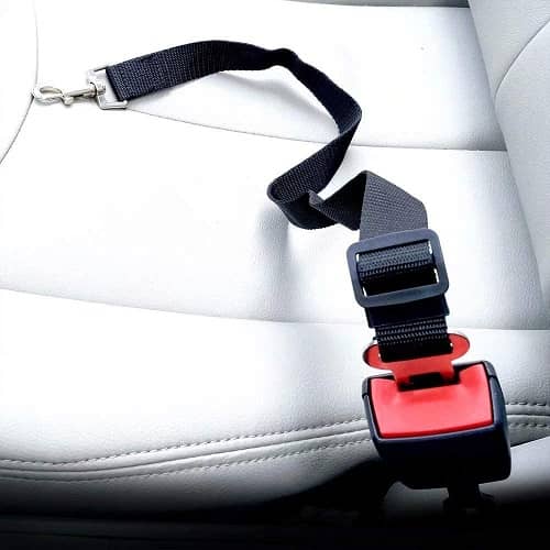 Cinturon de seguridad para perros 75 cm negro - imagen 4
